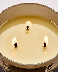 Backyard Honeysuckle 3-Wick Candle