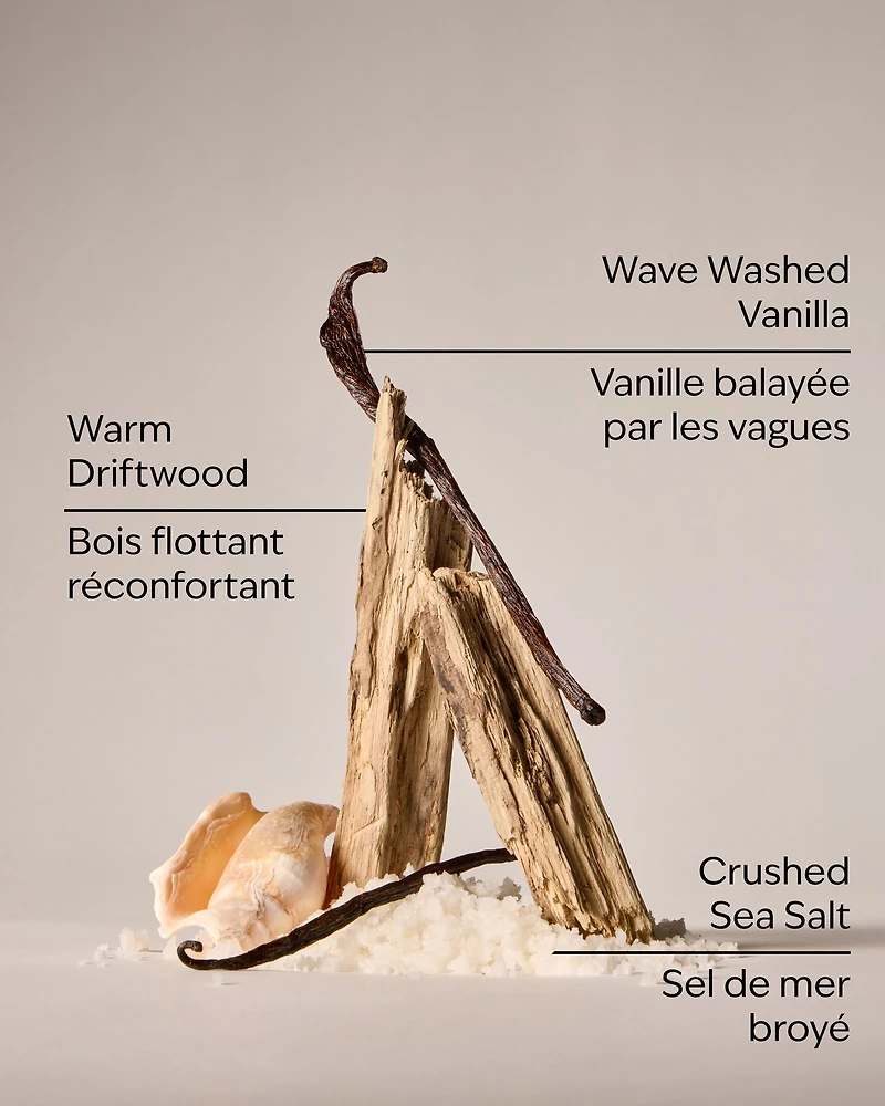 Coastal Dreaming Body Lotion