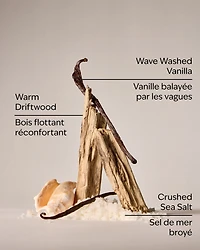 Coastal Dreaming Body Lotion