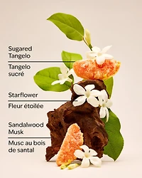 In the Stars Diamond Shimmer Mist