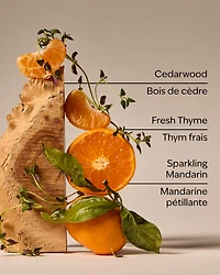 Kitchen Mandarin Gentle & Clean Foaming Hand Soap