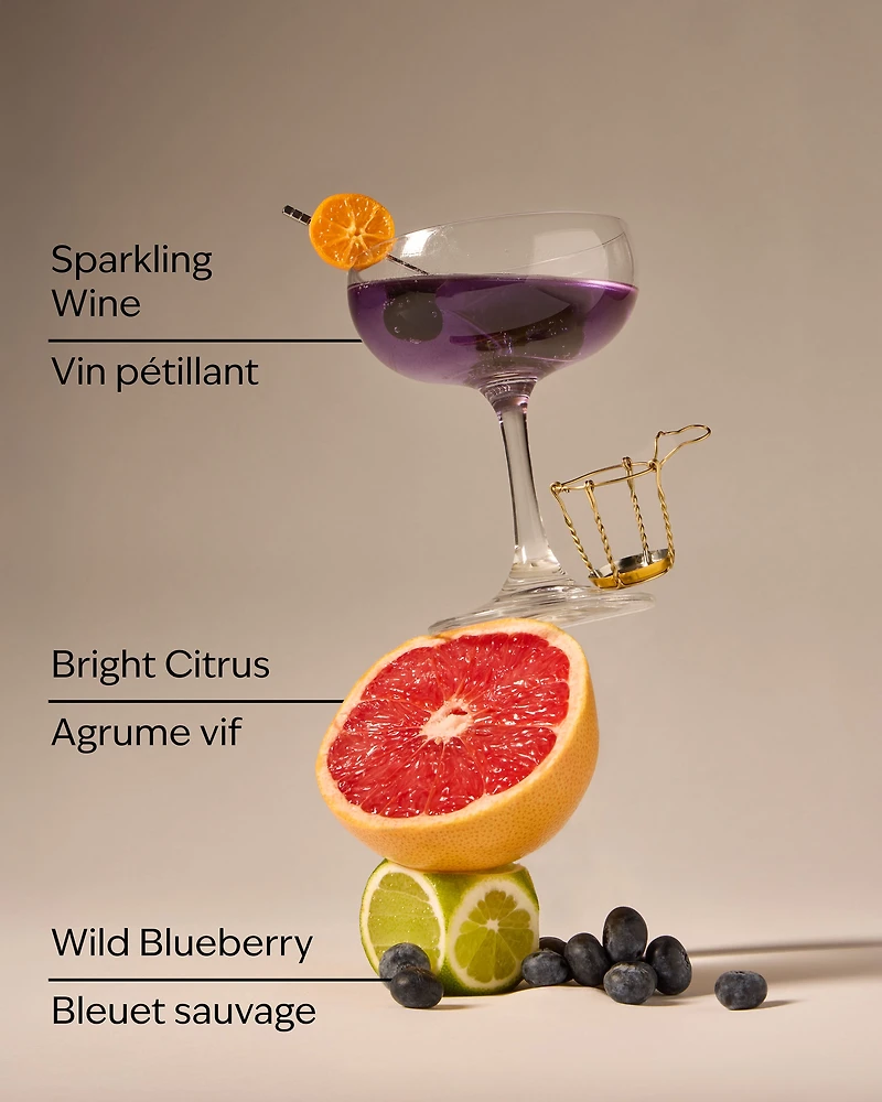 Blueberry Bellini Gentle & Clean Foaming Hand Soap