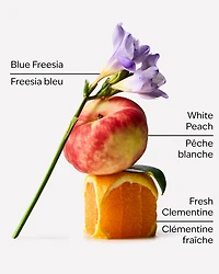 Gingham Concentrated Room Spray