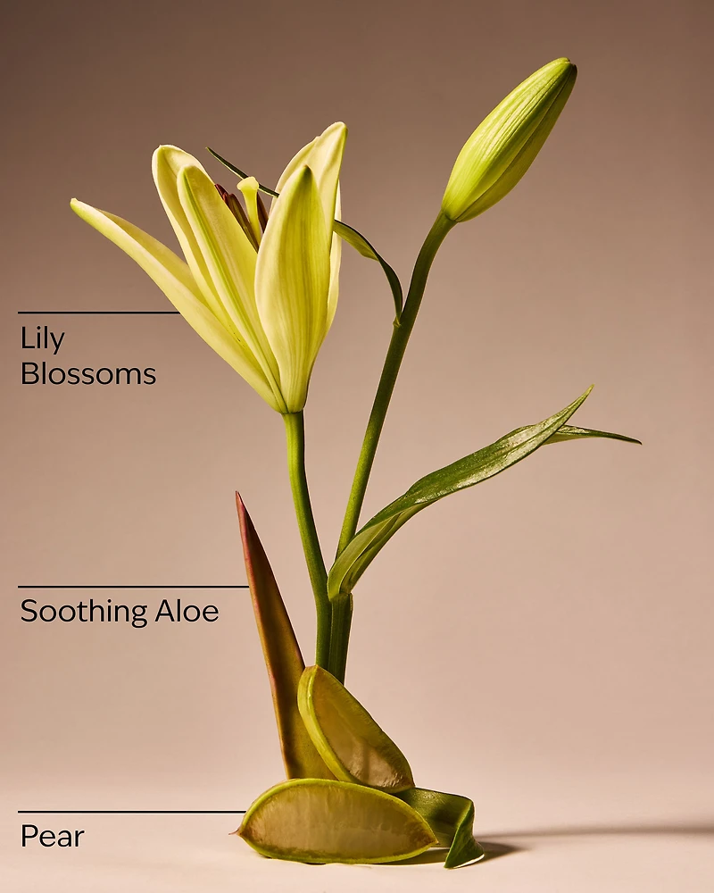 Aloe & Lily Blossoms Gentle & Clean Foaming Hand Soap