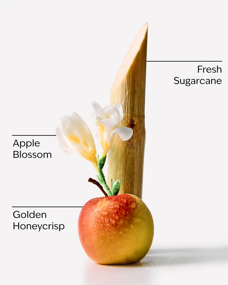 Honeycrisp Apple Wallflowers Refills 2-Pack