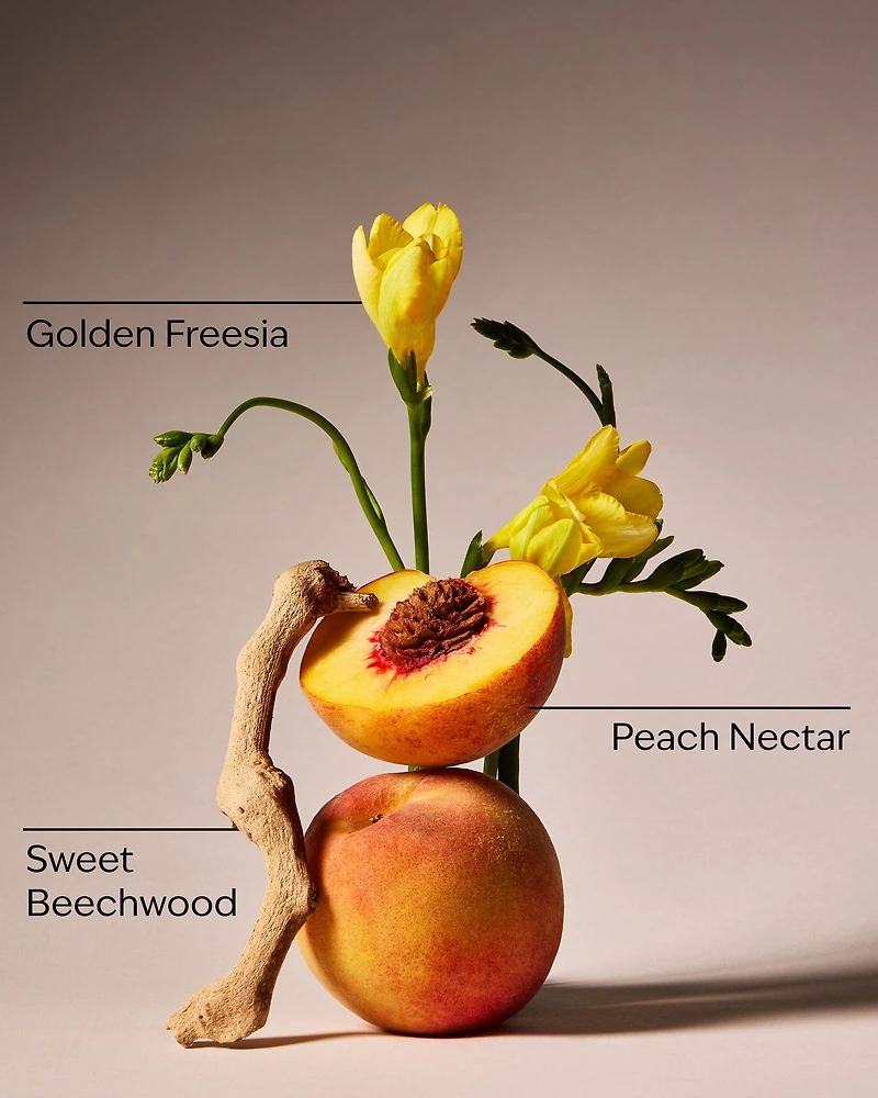 Peach Blossom & Nectar 3-Wick Candle