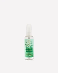 Eucalyptus Spearmint Hand Sanitizer Spray
