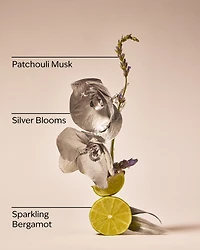 Platinum 3-Wick Candle