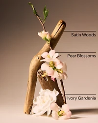 Dressed In White Ultimate Hydration Body Cream