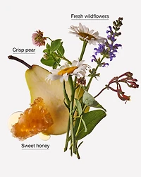 Honey Wildflower Moisturizing PocketBac Hand Sanitizer