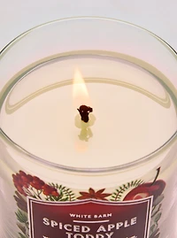 Spiced Apple Toddy Single Wick Candle