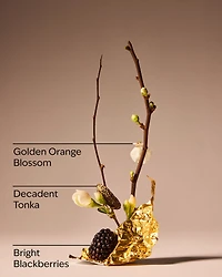 Touch of Gold Fine Fragrance Mist