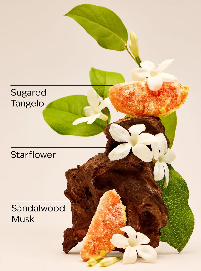 In the Stars 3-Wick Candle