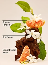 In the Stars Wallflowers Fragrance Refill