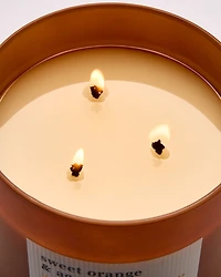 Sweet Orange & Agave 3-Wick Candle
