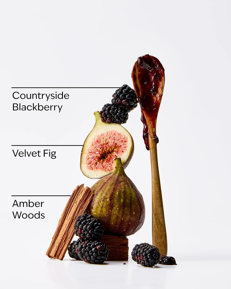 Wild Blackberry Jam Wallflowers Fragrance Refill