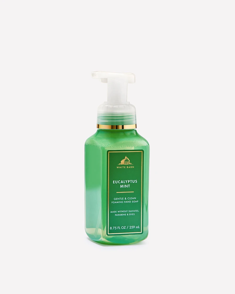 Eucalyptus Mint Gentle & Clean Foaming Hand Soap