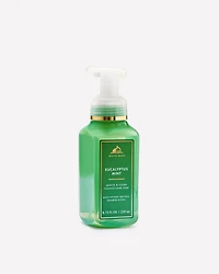 Eucalyptus Mint Gentle & Clean Foaming Hand Soap