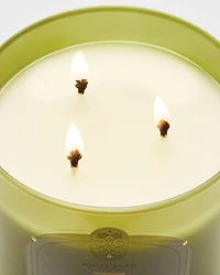 Island Margarita 3-Wick Candle