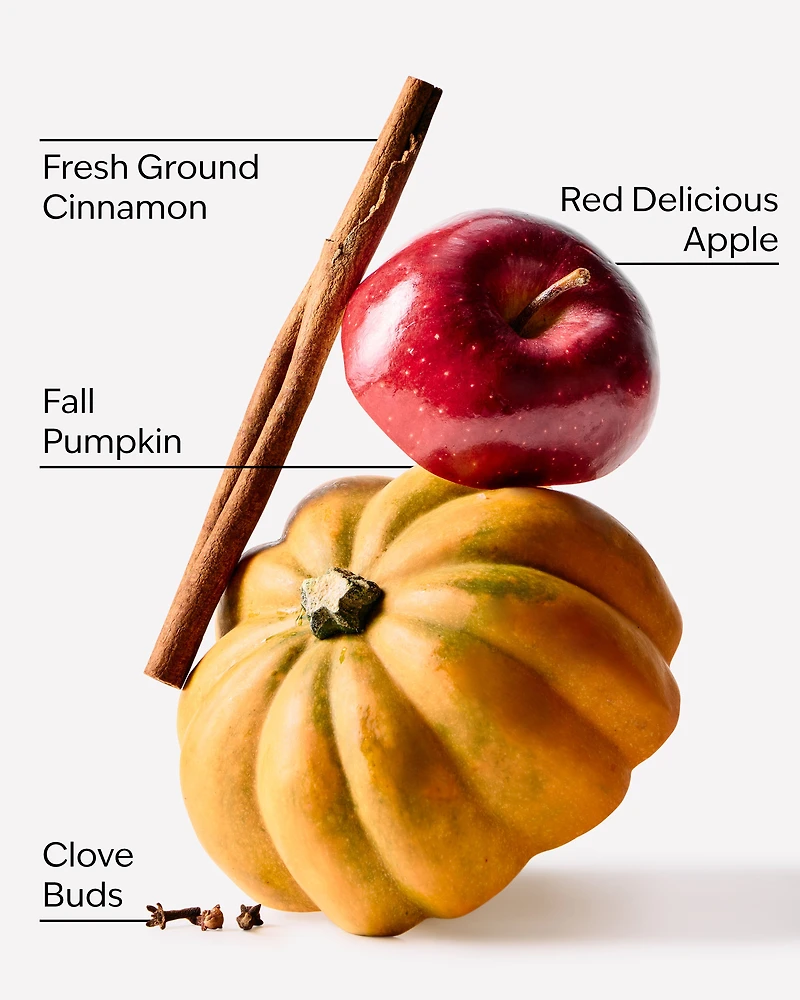 Pumpkin Apple Car Fragrance Refill