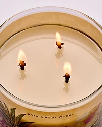 Coconut Piña Colada 3-Wick Candle