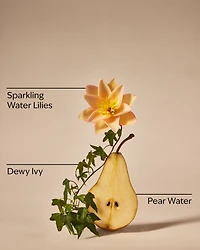 Dewy & Delicate Fine Fragrance Mist