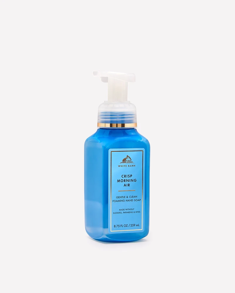 Crisp Morning Air Gentle & Clean Foaming Hand Soap