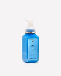 Crisp Morning Air Gentle & Clean Foaming Hand Soap