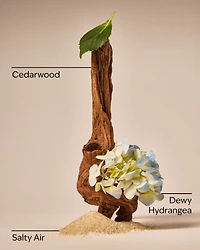 Shoreline Hydrangea 3-Wick Candle