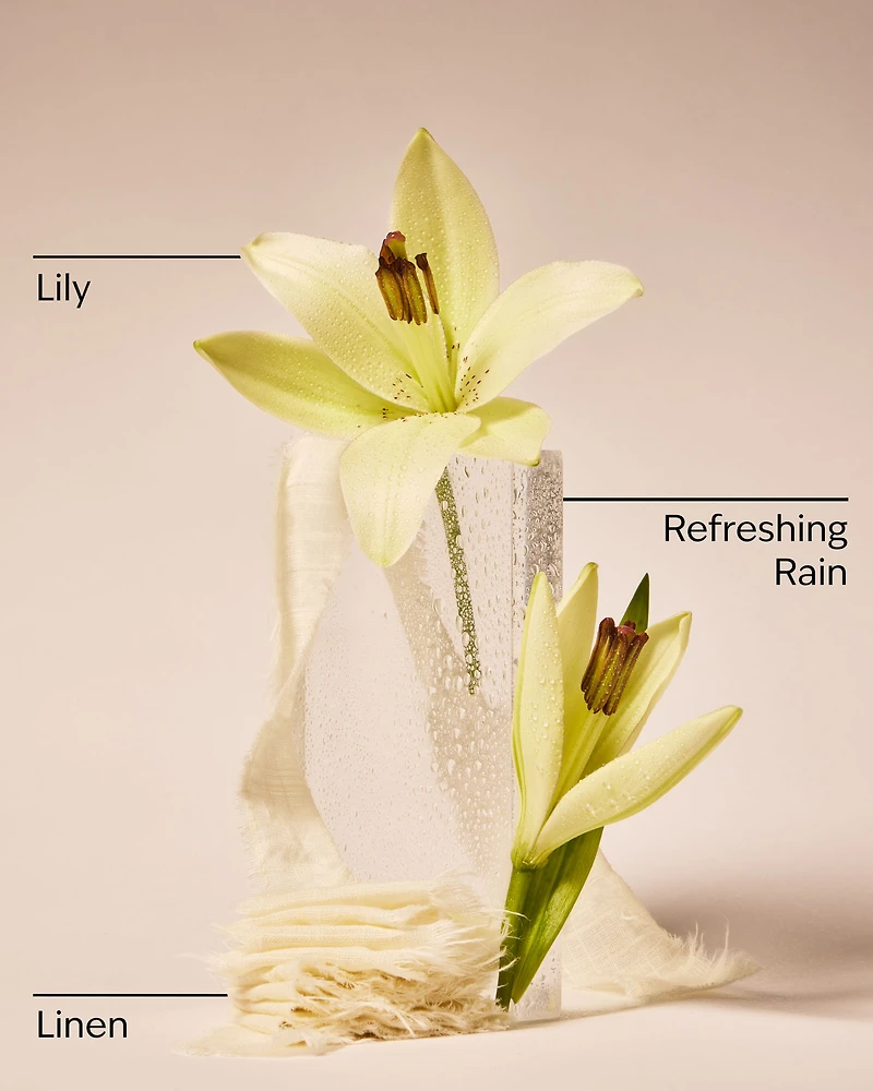 Fresh Rainfall & Linen Gentle & Clean Foaming Hand Soap