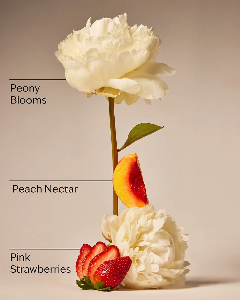 Gingham Gorgeous By Bath & Body Works Mini Perfume Spray