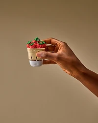 Berry Basket PocketBac Holder