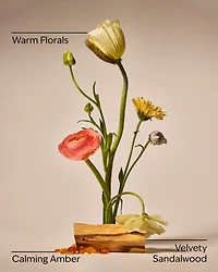 Warm Summer Evening Single Wick Candle