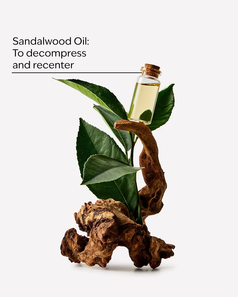Sandalwood Moisturizing Body Lotion