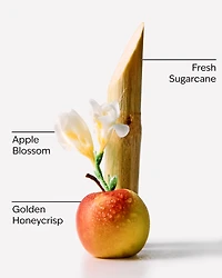Honeycrisp Apple Wallflowers Fragrance Refill