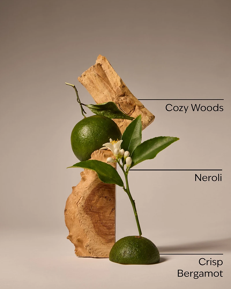 Book Loft Wallflowers Fragrance Refill