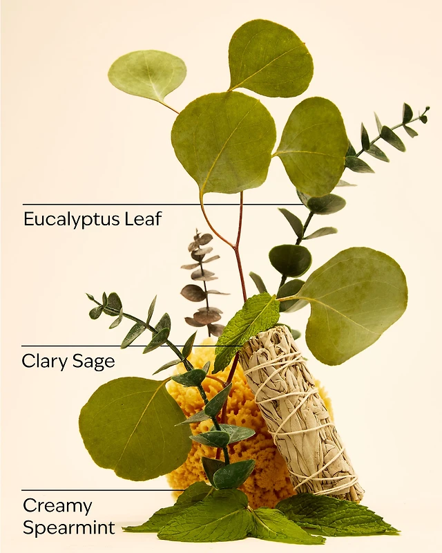 Eucalyptus Spearmint Sugar Body Scrub