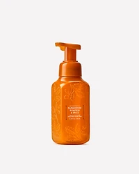 Farmhouse Pumpkin & Spice Gentle & Clean Foaming Hand Soap