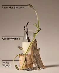 Lavender Vanilla Mini Gift Set