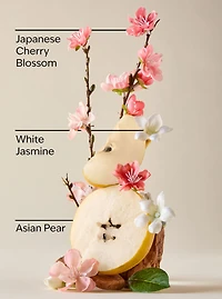 Japanese Cherry Blossom Travel Size Body Wash
