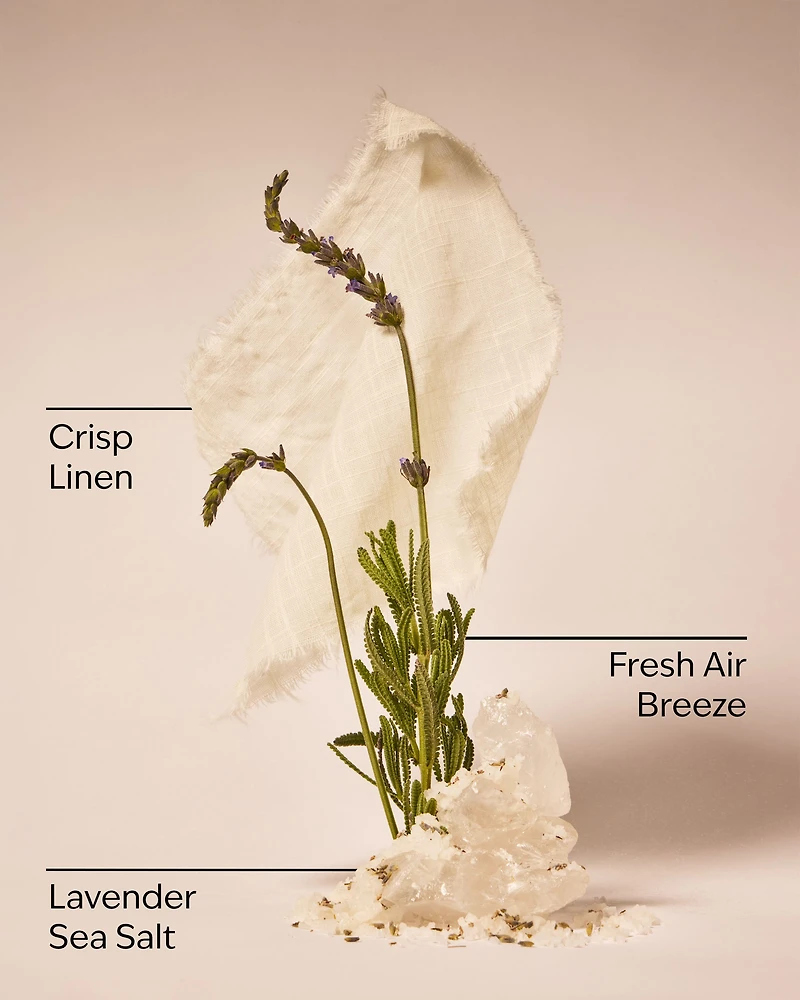 Linen & Lavender Wallflowers Fragrance Refill
