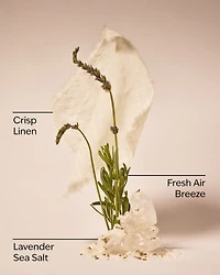 Linen & Lavender Wallflowers Fragrance Refill