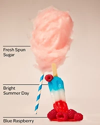 Cotton Candy Boardwalk Wallflowers Refills 2-Pack