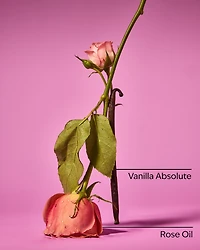 Rose Vanilla Body Wash & Foam Bath