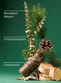 Fresh Balsam 3-Wick Candle