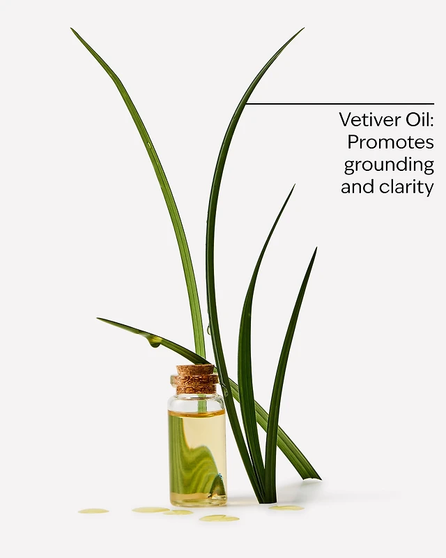 Vetiver Body Wash & Foam Bath