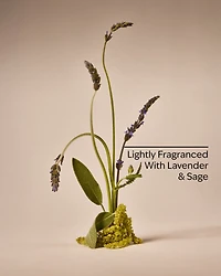 Shave Gel With Aloe & Witch Hazel