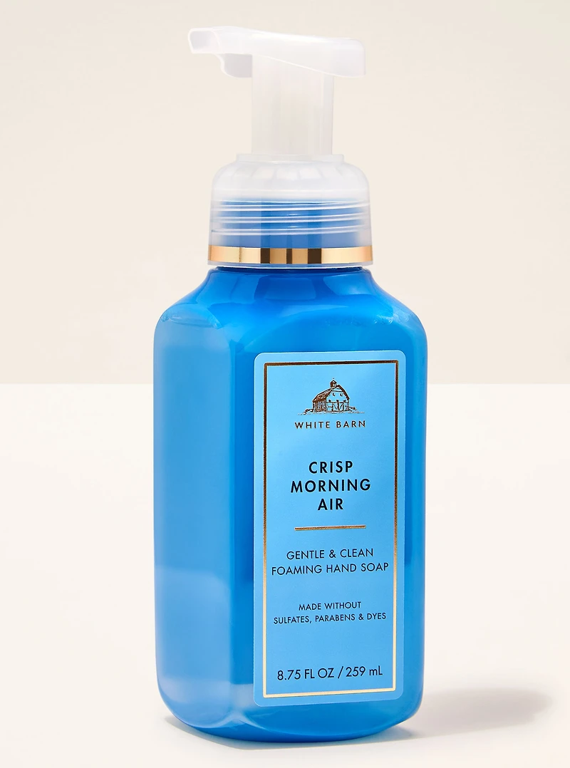 Crisp Morning Air Gentle & Clean Foaming Hand Soap