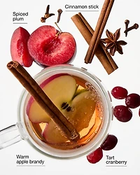 Spiced Apple Toddy Wallflowers Refills 2-Pack