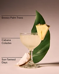 Meet Me in Miami Fine Fragrance Mist